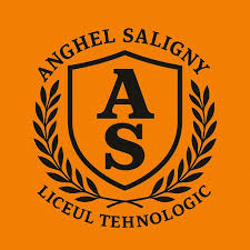 Liceul Tehnologic "Anghel Saligny" Bacau