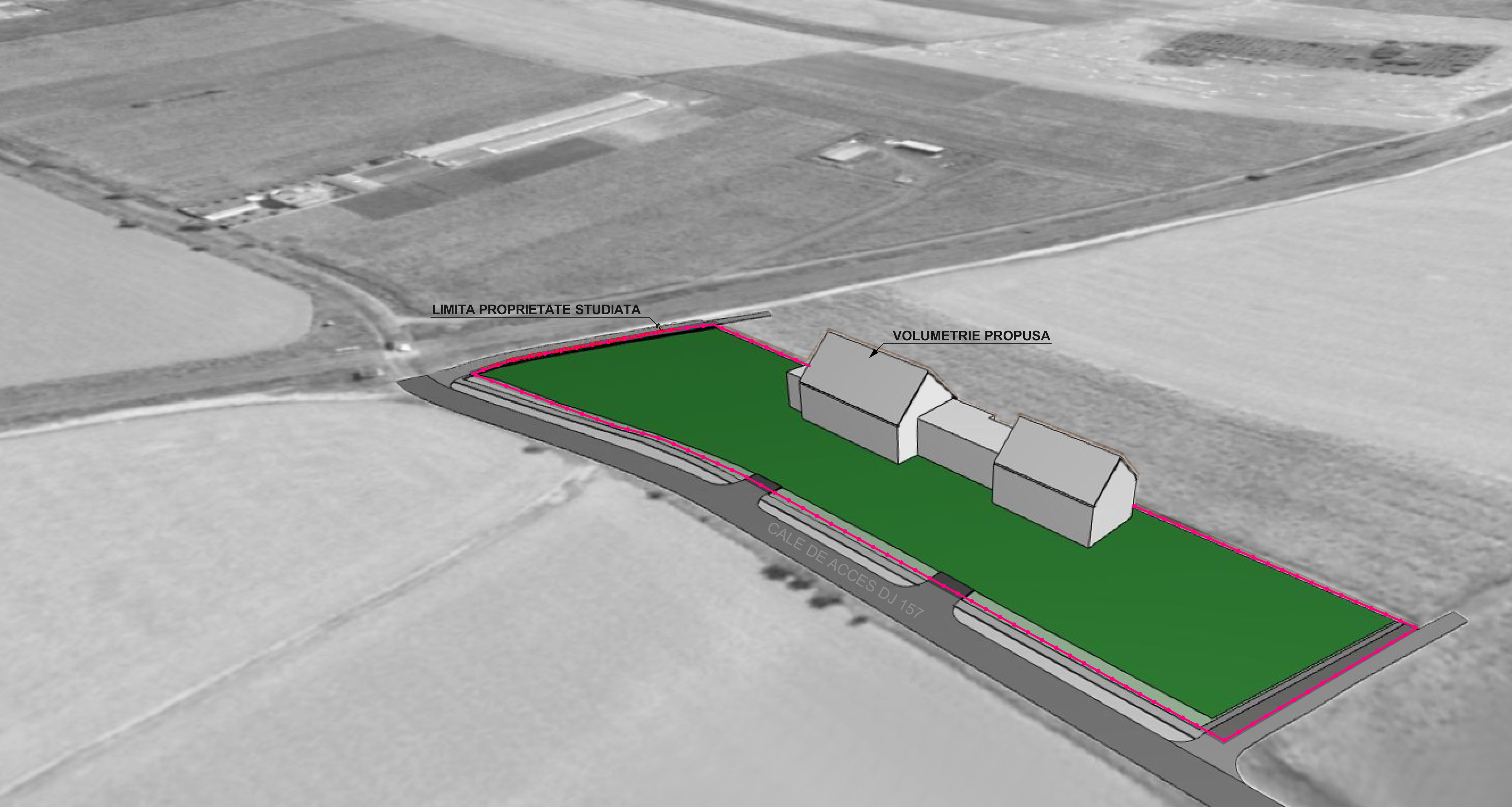 P.U.Z. - SĂLI EVENIMENTE, ROMAN