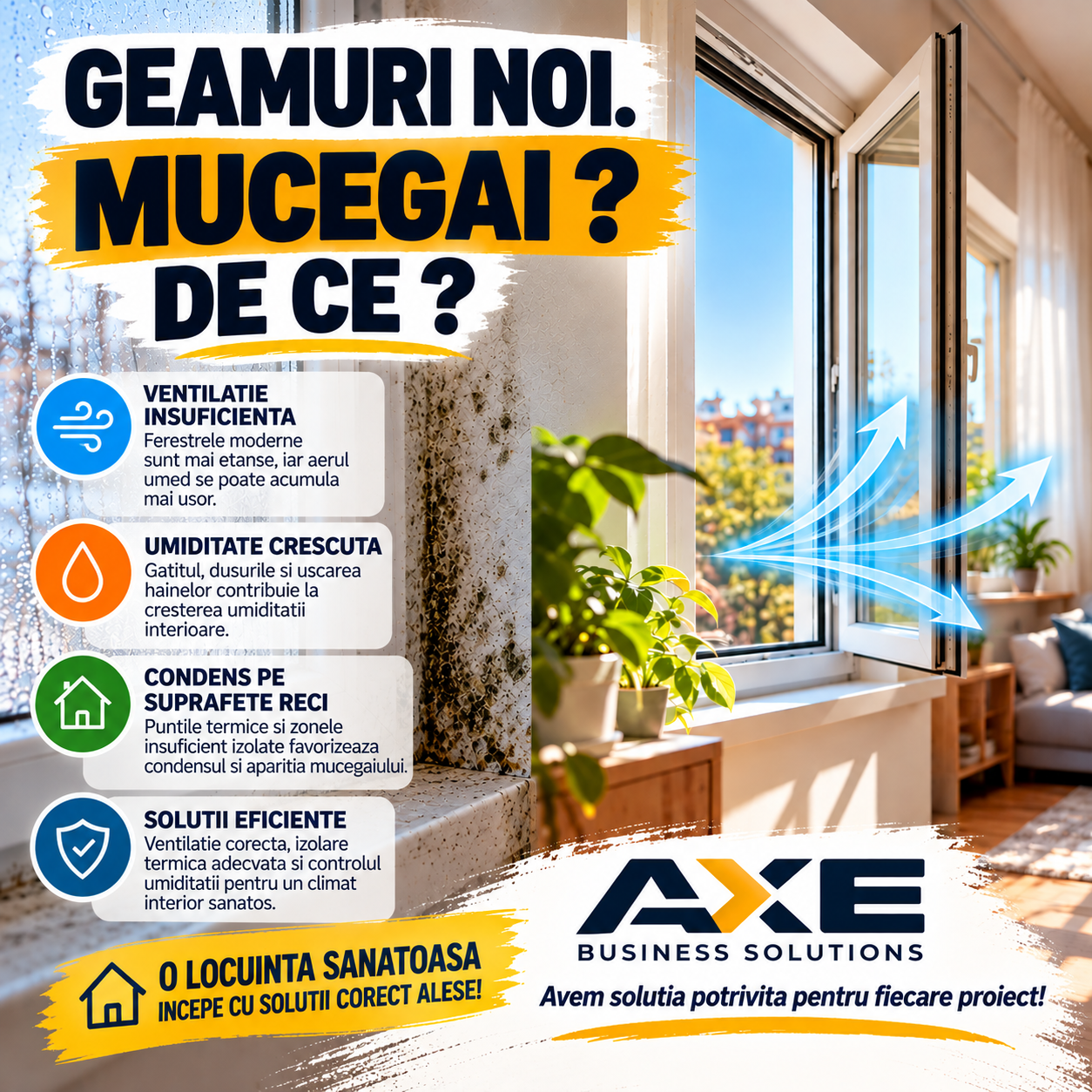 Geamuri noi și mucegai pe pereți? Cauze și soluții