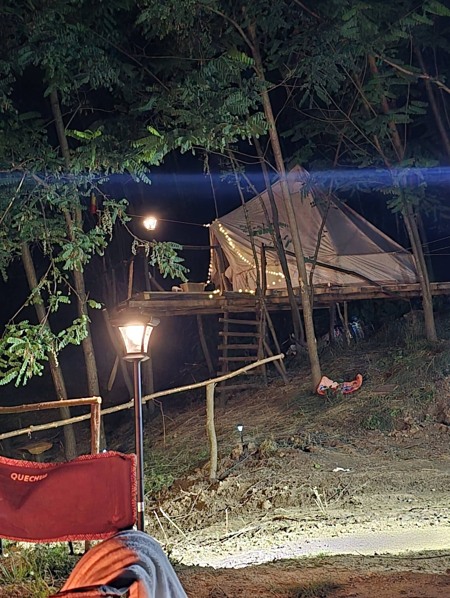 Terenul din berzoi